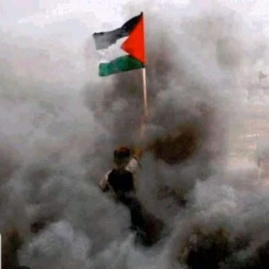 Omar Elbayomi Profile Picture