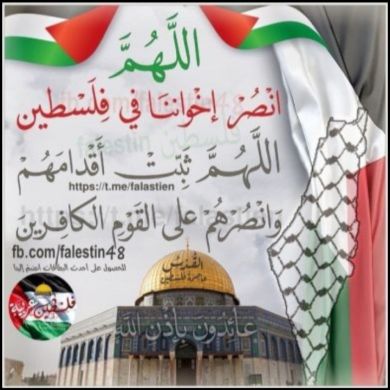 umma1698058219 Profile Picture