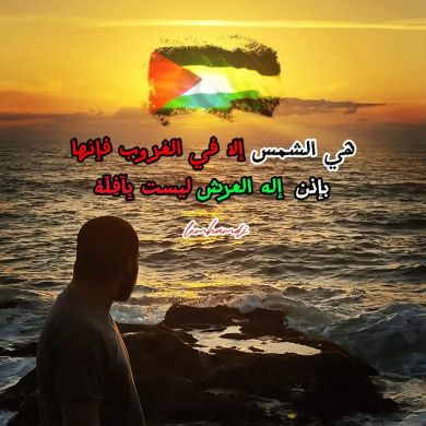 عبد المجيد أبو زيد