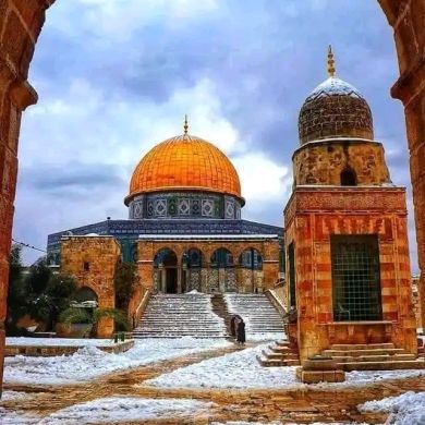 احمد ثروت شرقاوي Profile Picture