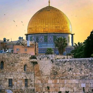 mohammed lamine Profile Picture