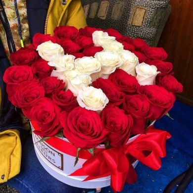 hani Sleshi Profile Picture