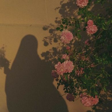 Marwa Aida Profile Picture