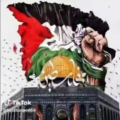 Ibnu Abubaker Profile Picture