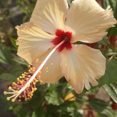 سارة سارة Profile Picture