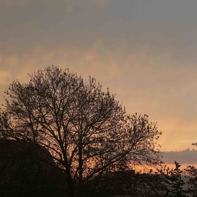 Айжамал Камалова Profile Picture