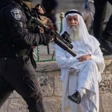 Али Алимагомедов