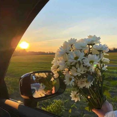 ريـمـا الأحمد