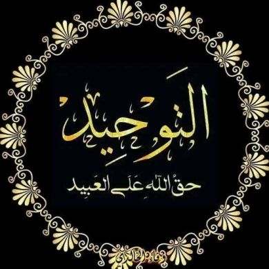 mohamed radela Profile Picture