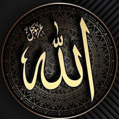 Шамиль Мискуев Profile Picture