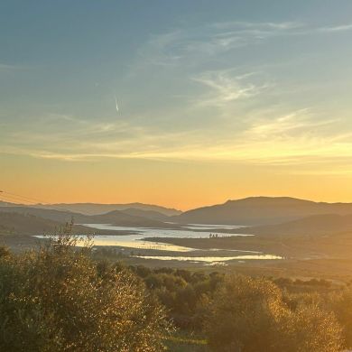 أبو محمد التطواني