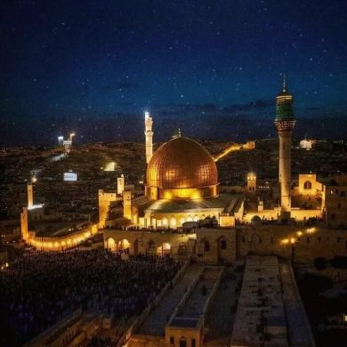 بشرى محمد Profile Picture