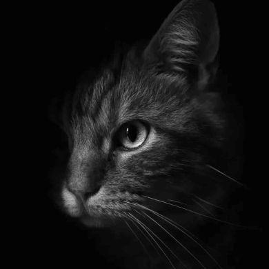 Сидрат Магомедовна