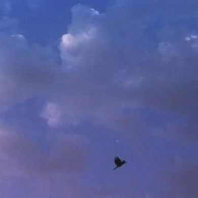 Sumaiya S Profile Picture