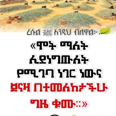 Nuru Ali Profile Picture