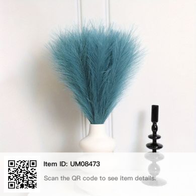 Amberi Edris Profile Picture