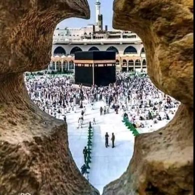 محجوب  النعيم