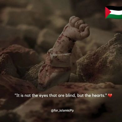 Entisar muzemil Profile Picture