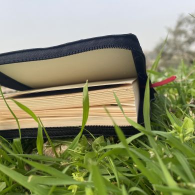 روعة حمّاد Profile Picture