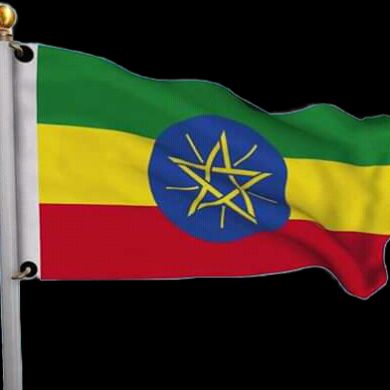 Seid Mohammed Profile Picture