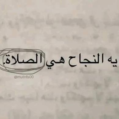 هيام عبدالحميد