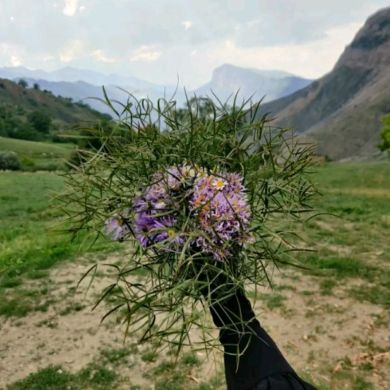 Al Awariyah Profile Picture