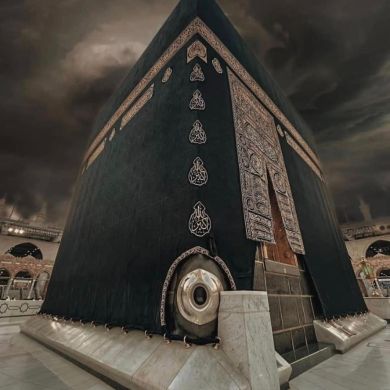 Alan Alan Profile Picture