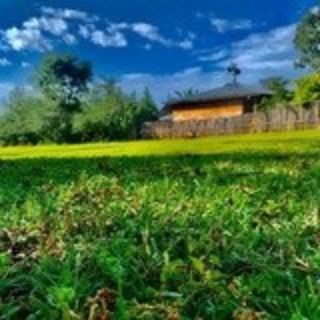 Telegram: Contact @nurmesjed