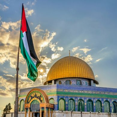 محمد المجدد