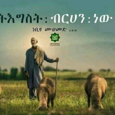 mensur fekadu Profile Picture