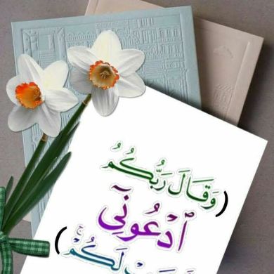 Mekiya eshetu yimer Profile Picture