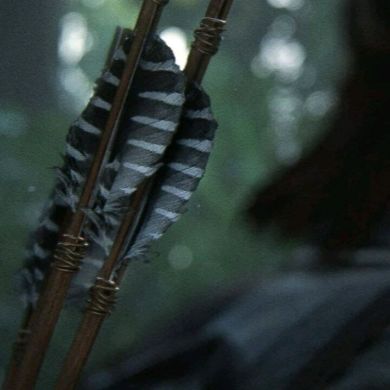 g1alg1a Profile Picture