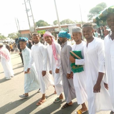 jelaledin abdulhadi Profile Picture