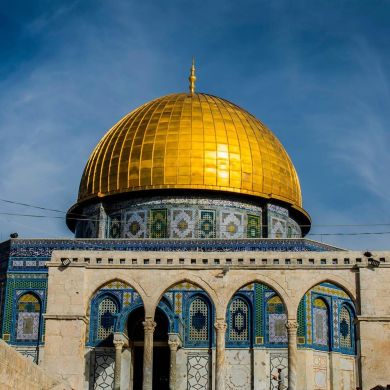 osama 7 Profile Picture