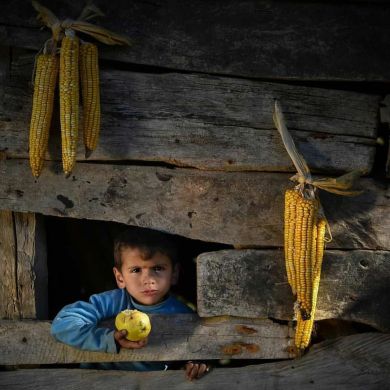 Хизир ПРОГУЛ Profile Picture