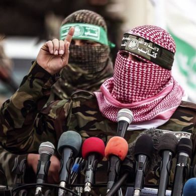 wadia essalbi Profile Picture