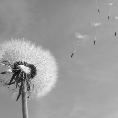 Марат Миннахметов Profile Picture