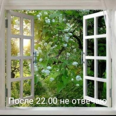 Умм АбдуЛлах Profile Picture