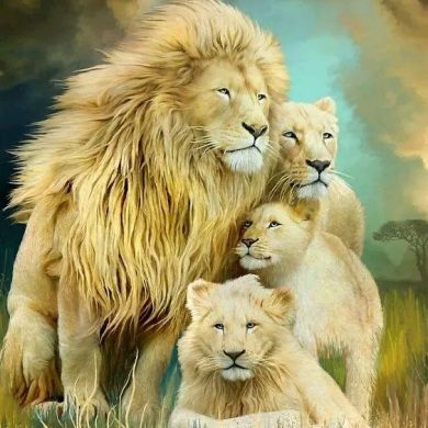 abu mahir Profile Picture