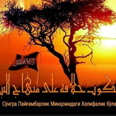 abu Umar Profile Picture