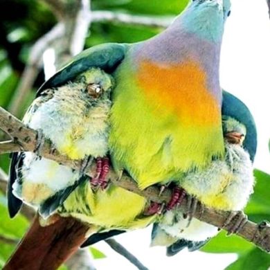 Hussein Seid Profile Picture