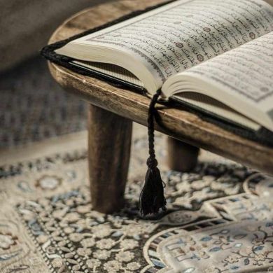 napominanie.musulman Profile Picture