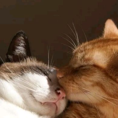 Asma Bdj Profile Picture