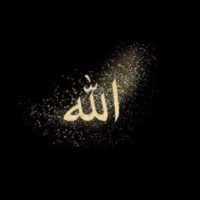 Абдурохман Отабеков Profile Picture