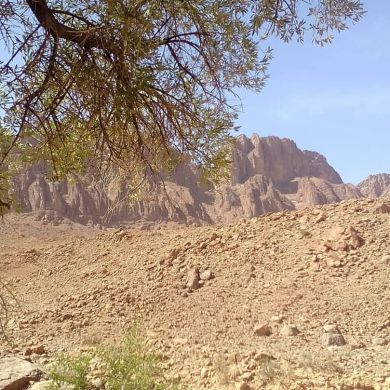 umma1700140651 Profile Picture