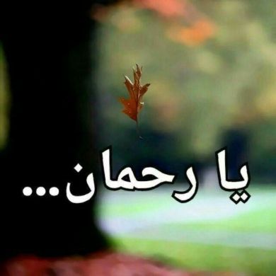 hanan kemer Profile Picture