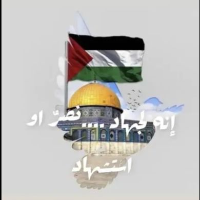 Lama Selawie Profile Picture