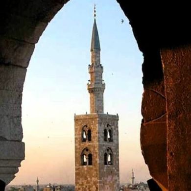 Ибрагим Тангиев Profile Picture