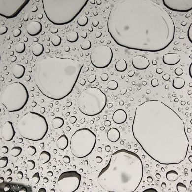 RINAT Isaev Profile Picture