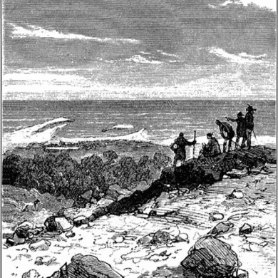 Таинственный Остров Profile Picture